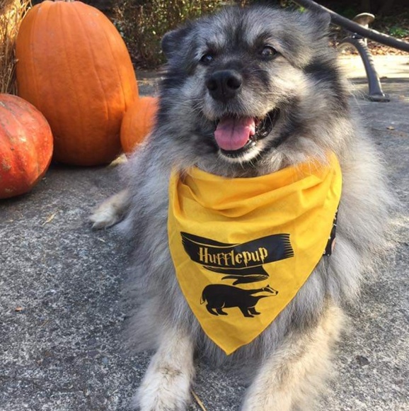 Meet your Posher, Nady - Picture 4 of 6